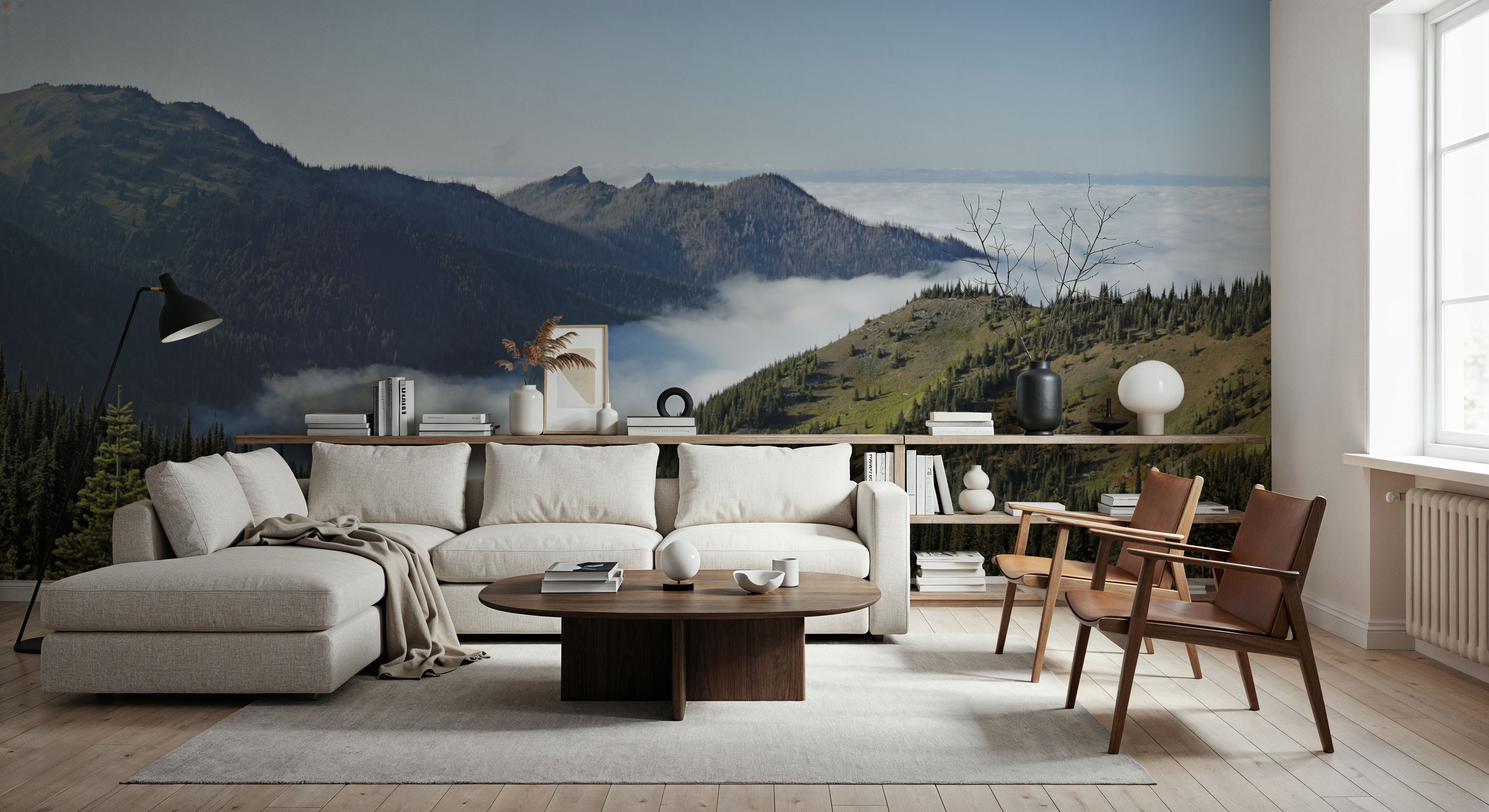 Hurricane Ridge Views