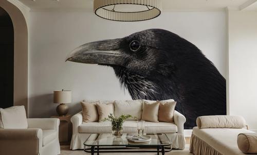 Raven
