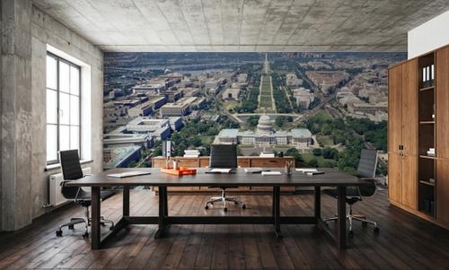 Capitol Vista