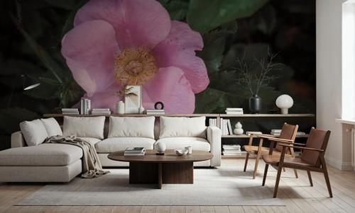 Wild Rose VII