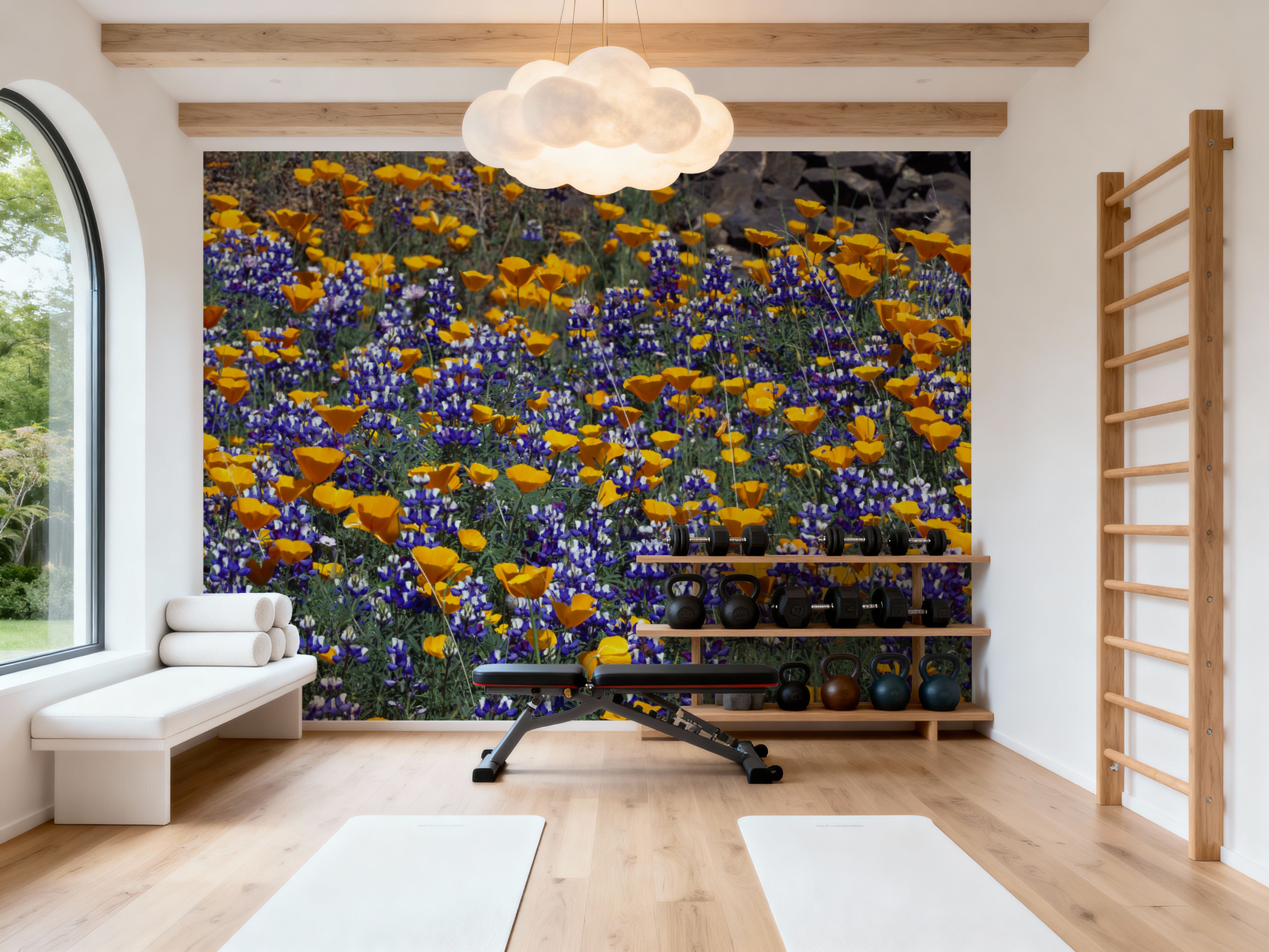 Poppy and Lupine Meadow