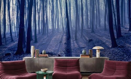 Misty Blue Forest