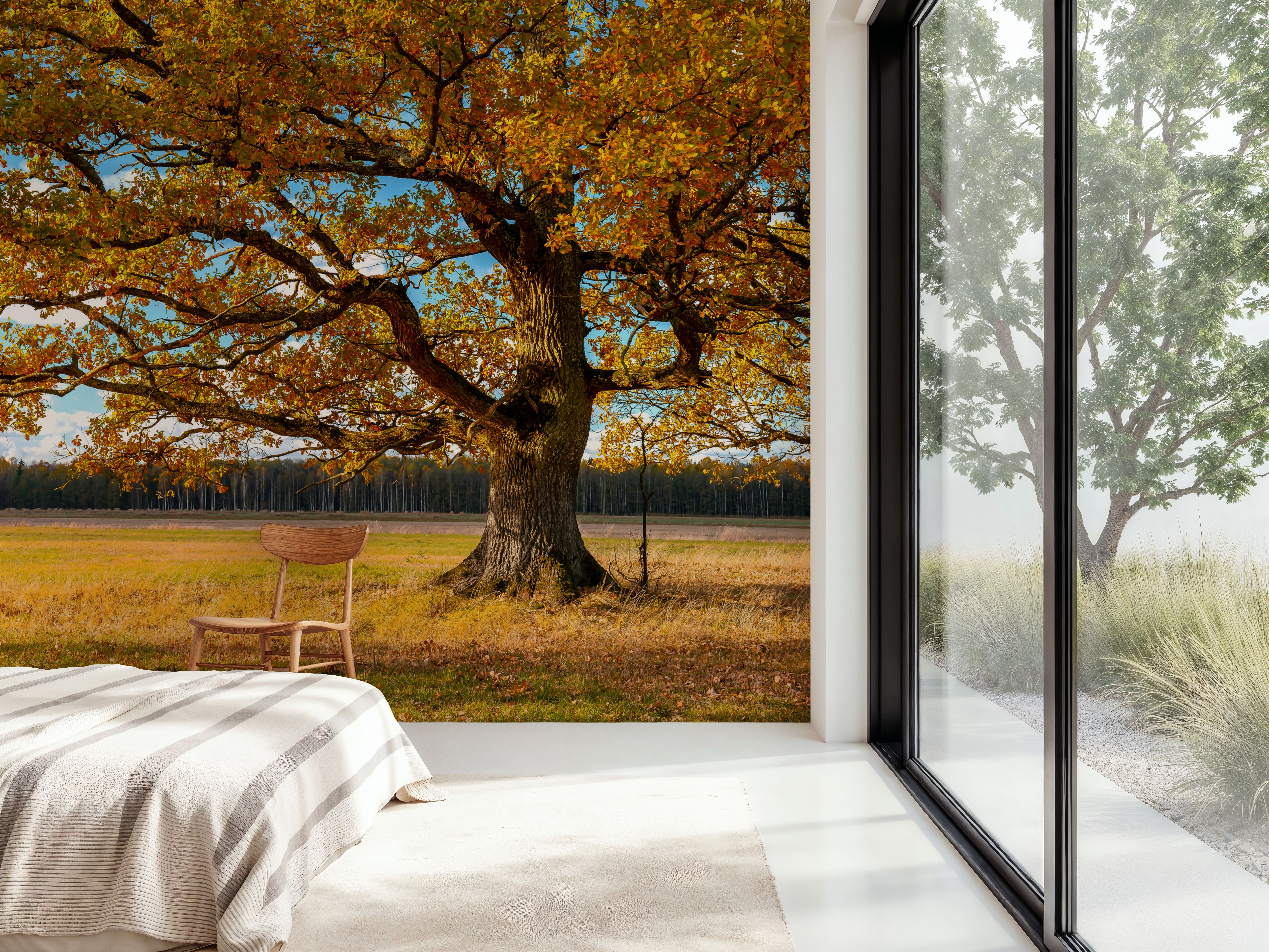 Golden Fall Tree Afternoon