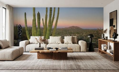 Organ Pipe Cactus National Monument