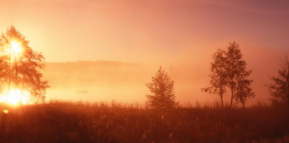 Sweden Sunrise