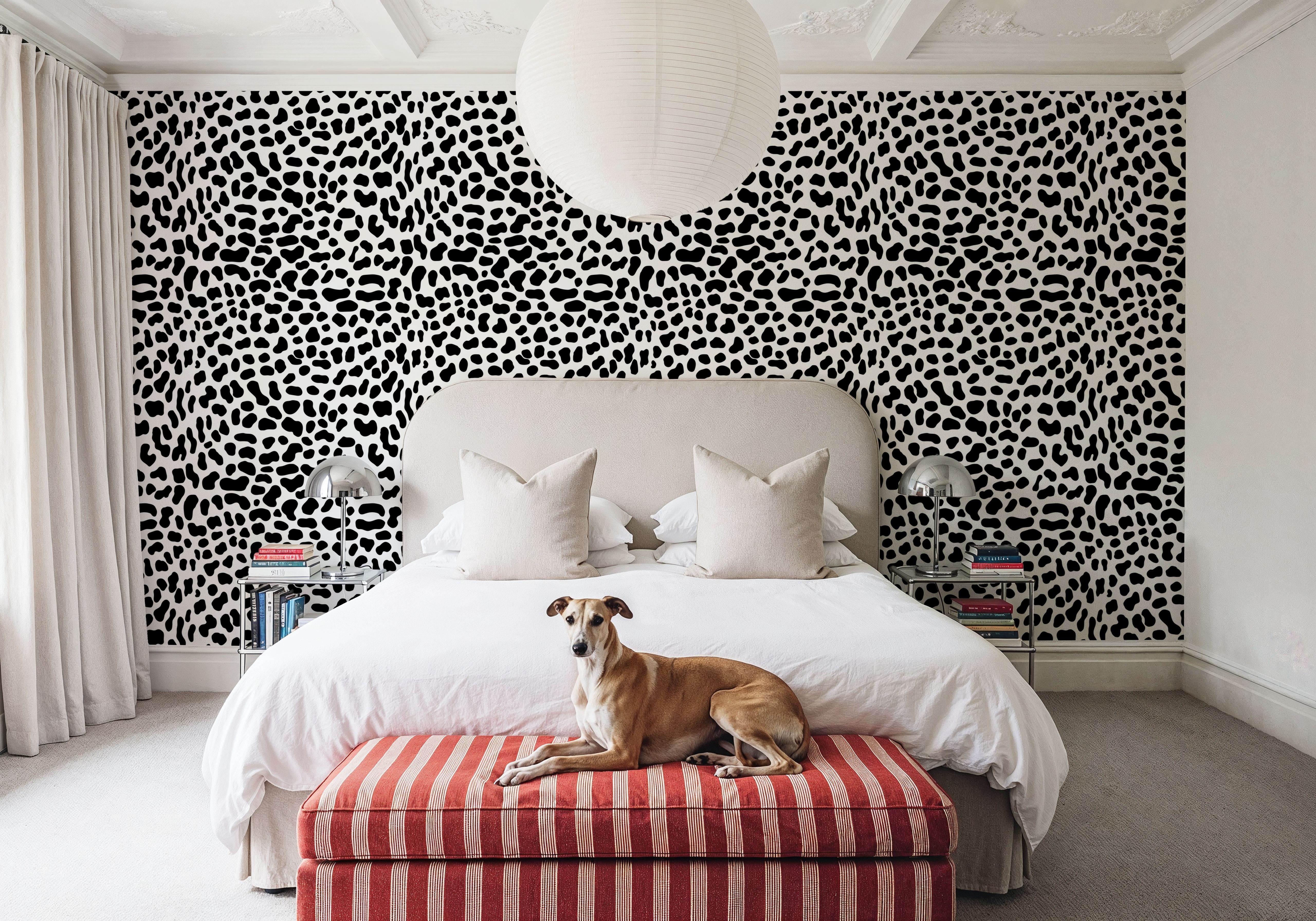 Cheetah Hiding on Repeat