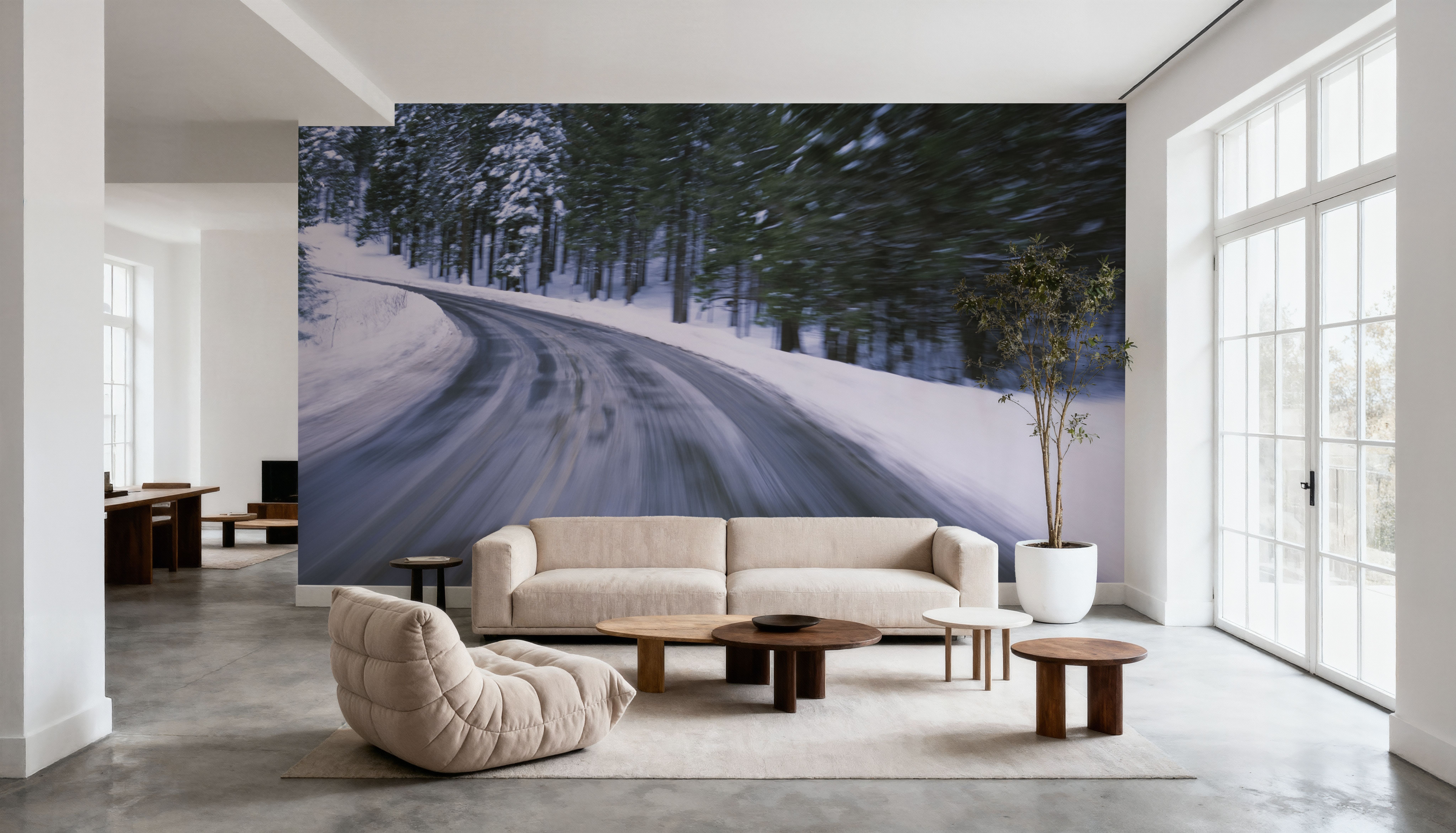 Winter Passage