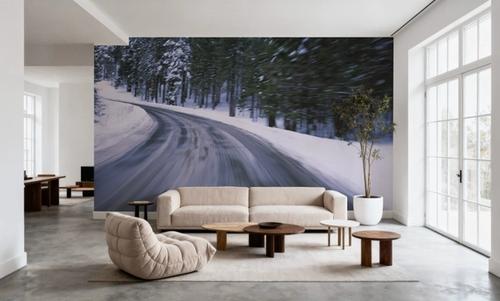 Winter Passage