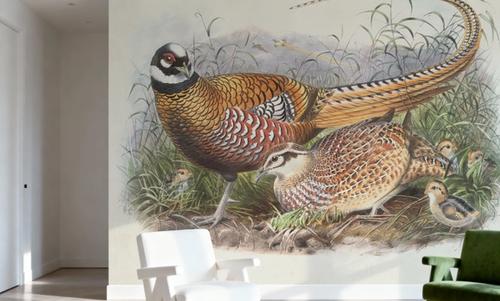 Autumn Pheasant II