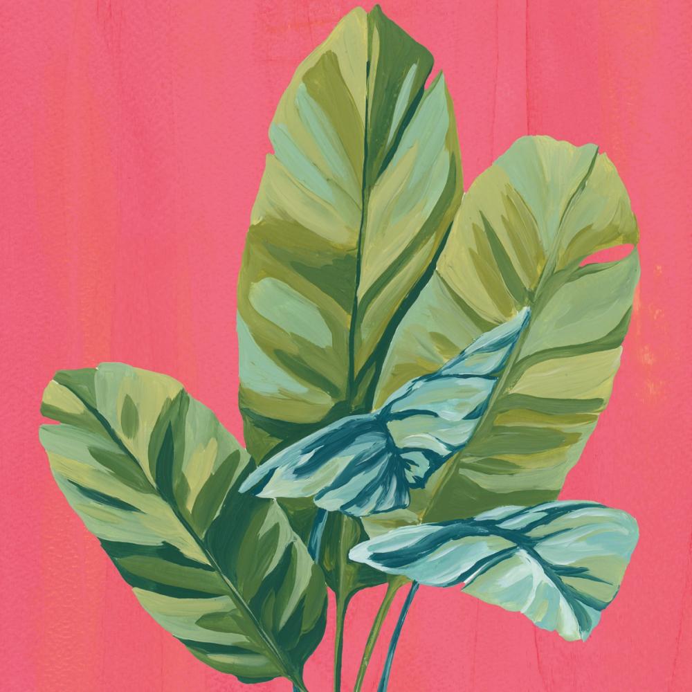 Island Botanica II
