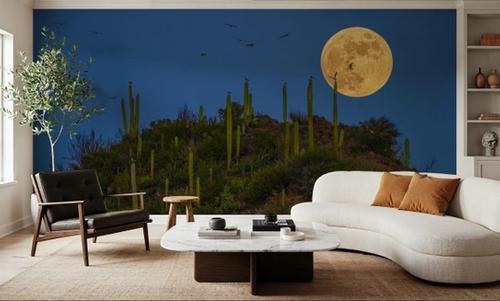 Mexican Full Moon