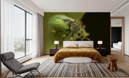 Green Beetle I