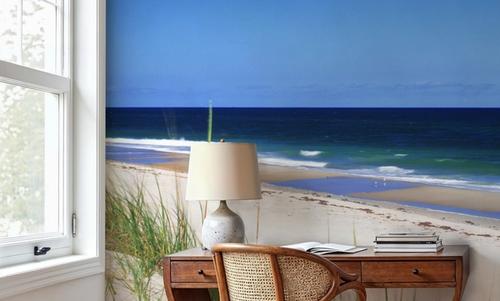 Coastal Dune Serenity