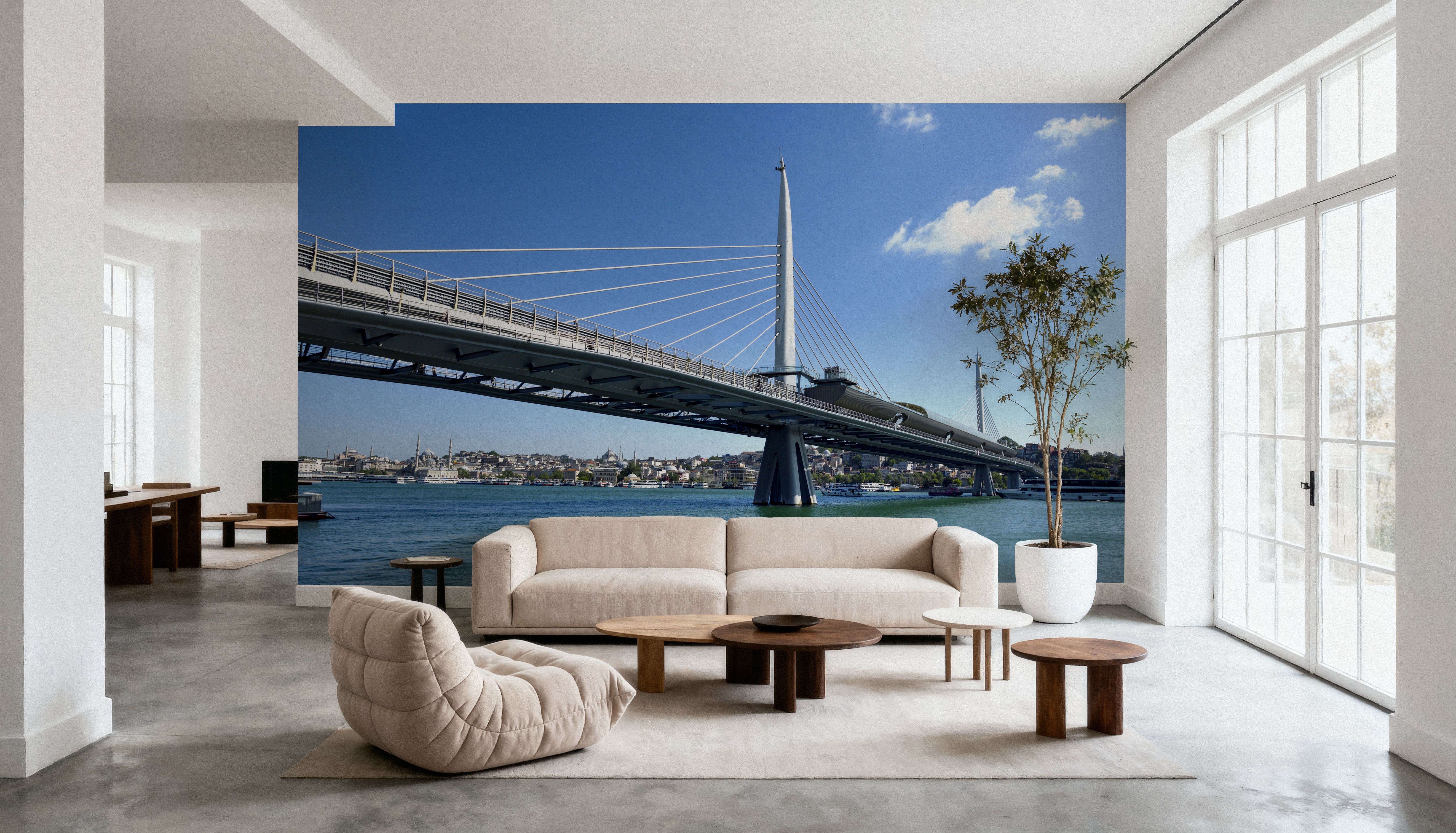 Urban Suspension Bridge