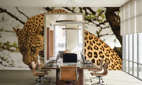 Leopard After Lunch