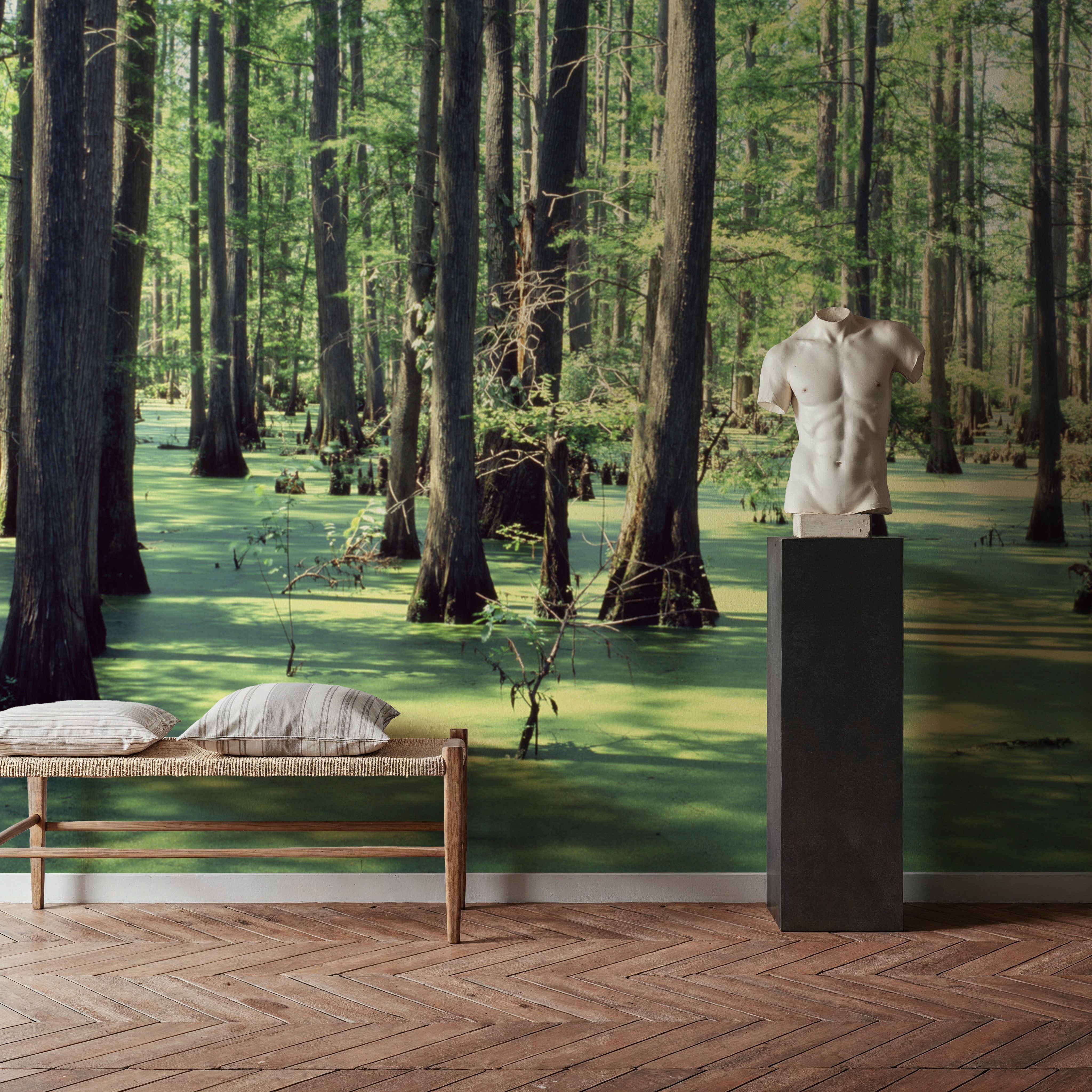 Emerald Swamp Reflection