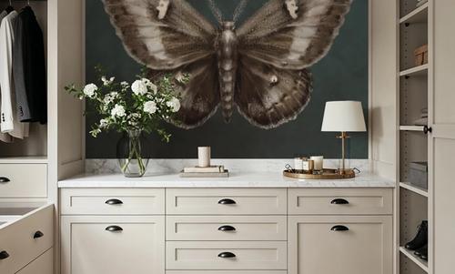 Elegant Moth I