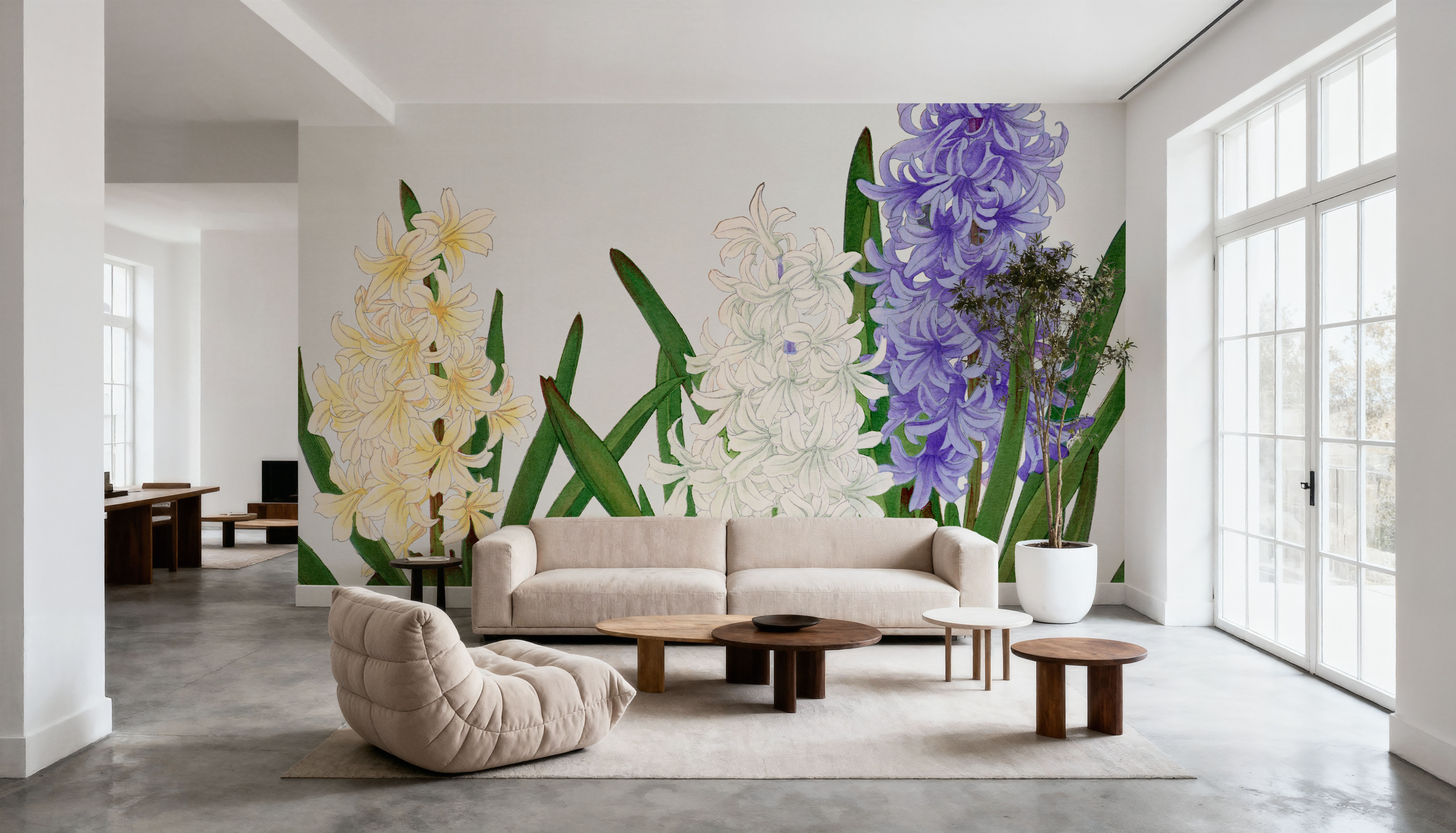 Tanigami Hyacinthus, Carte da parati