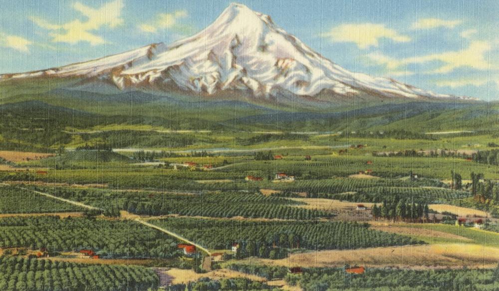 Mt. Hood - Screenprint Postcard