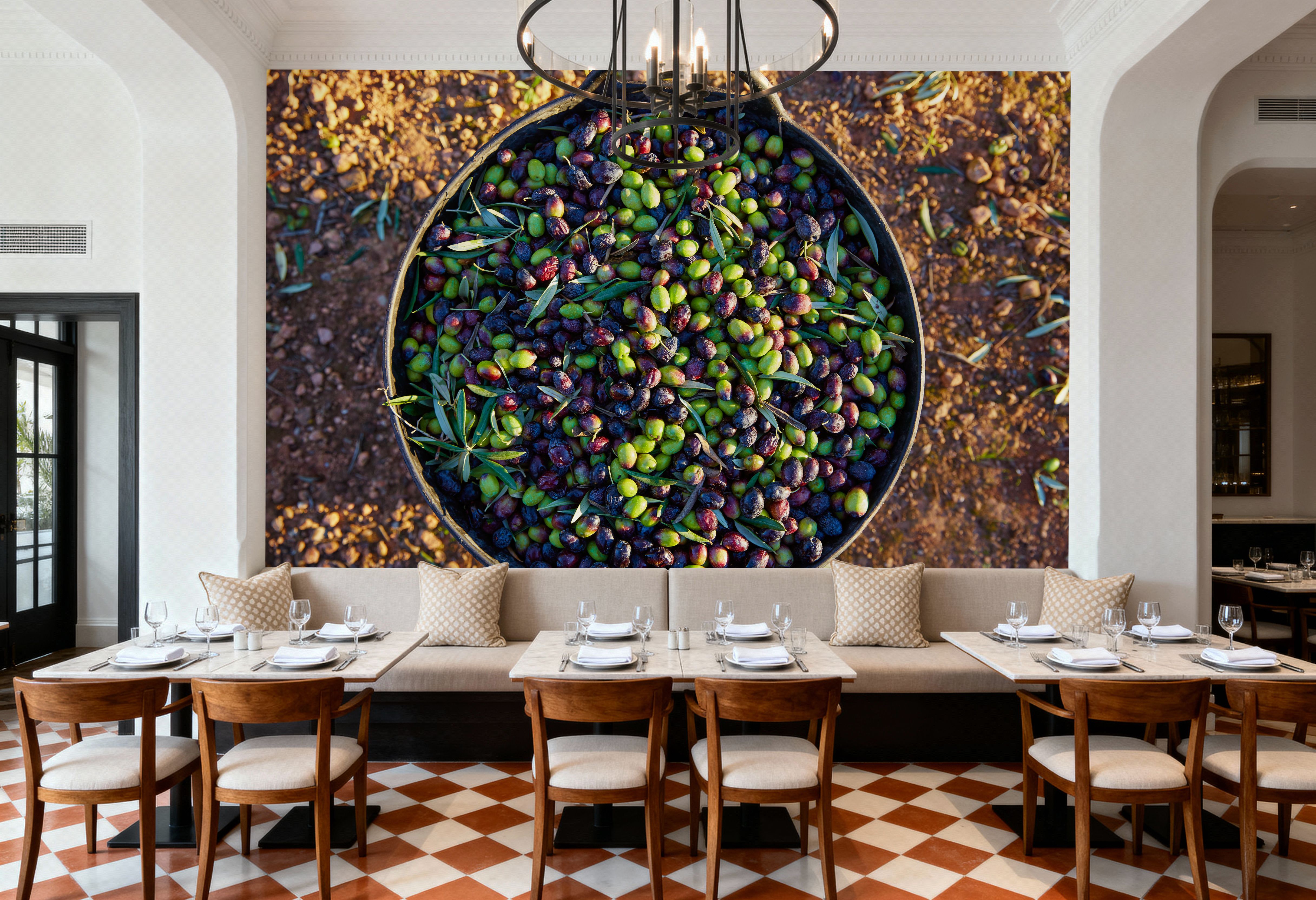 Olive Harvest