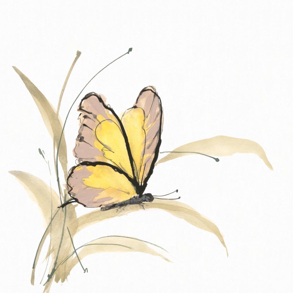 Butterfly Yellow I