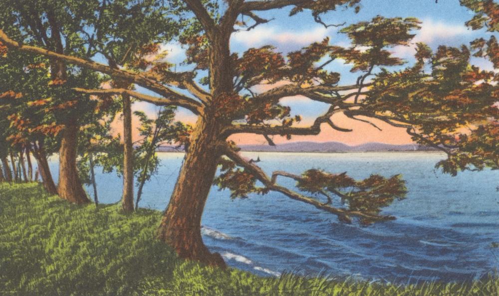 Shoreline - Screenprint Postcard