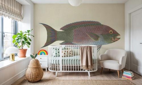 Parrotfish
