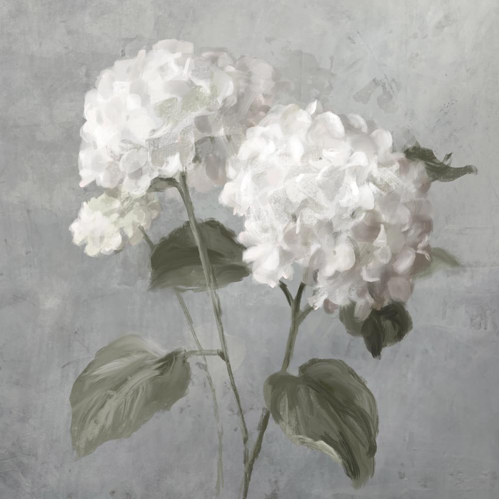 White Hydrangeas on Gray