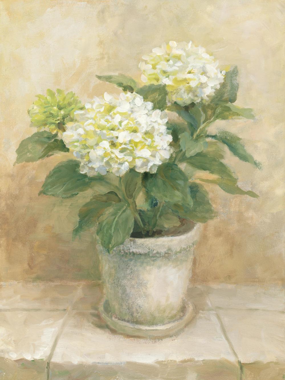 Pot of White Hydrangea