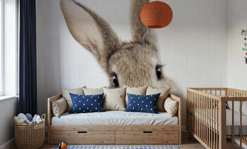 Peekaboo Bunny