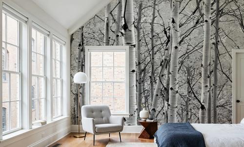 Silver Birch Symphony