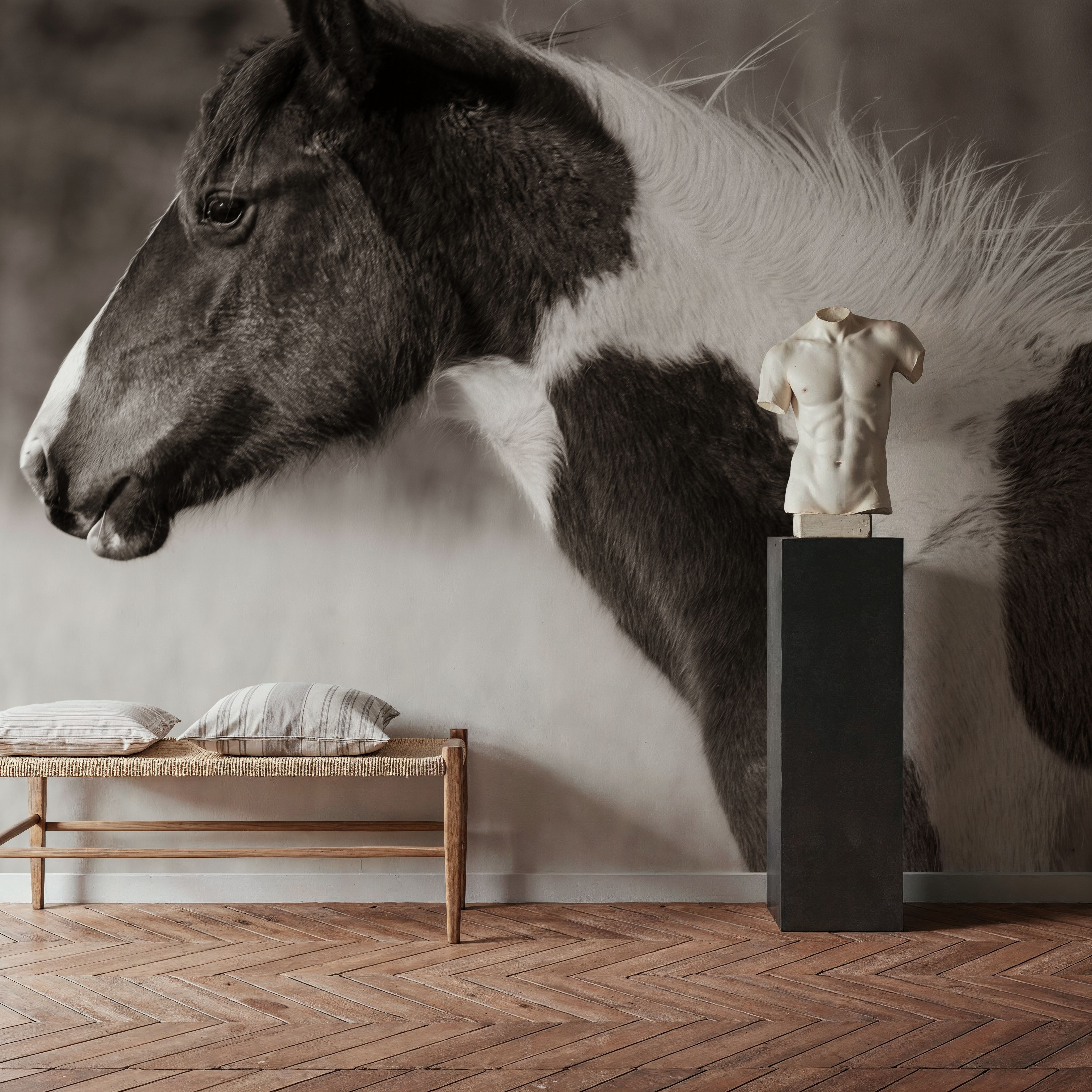 Horse Profile Sepia