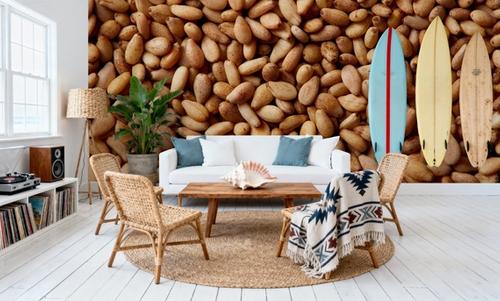 Pine Nut Harvest