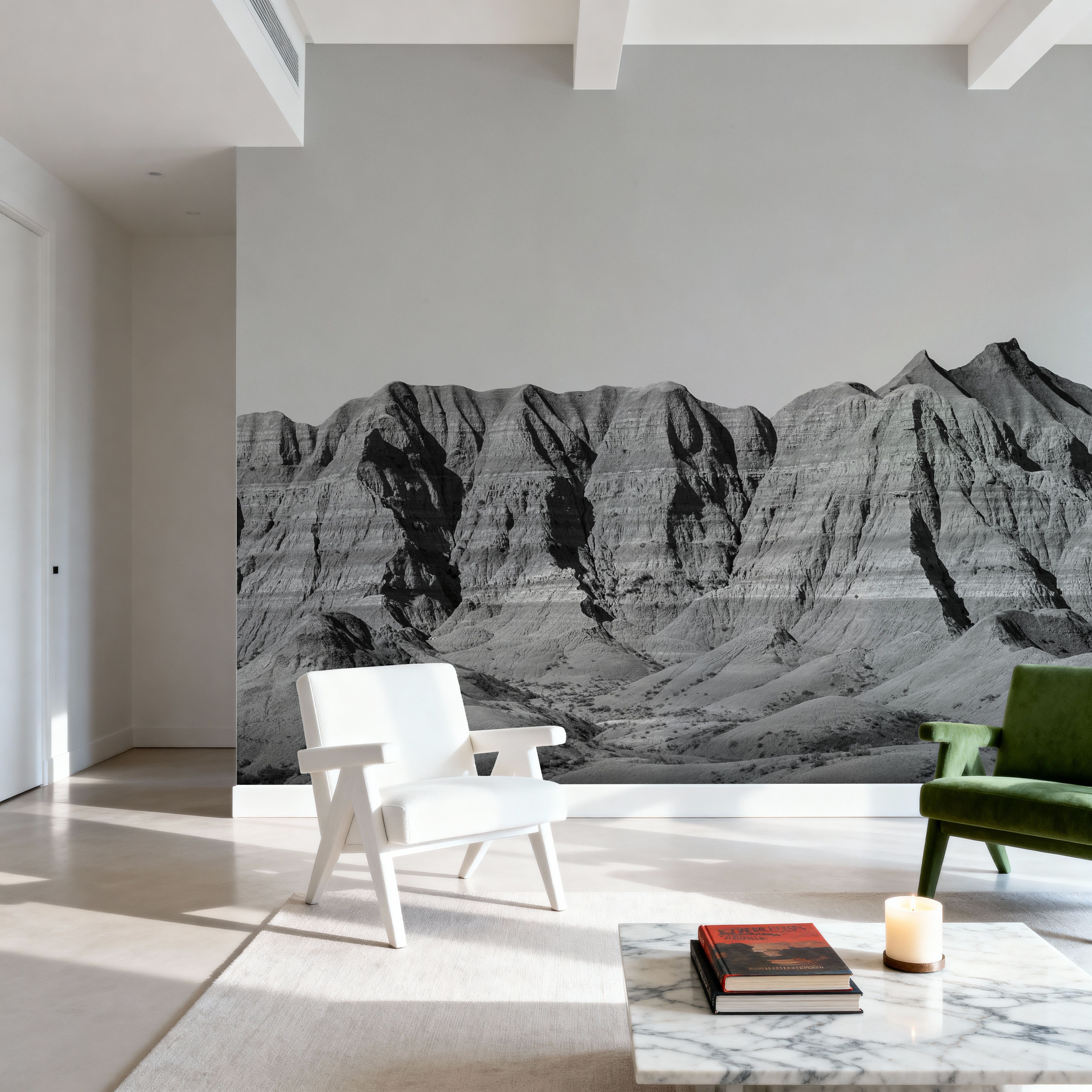 Badlands Black And White