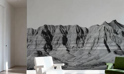 Badlands Black And White