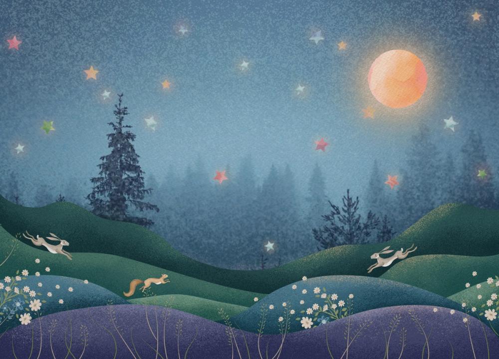 Magic Meadow at Dusk