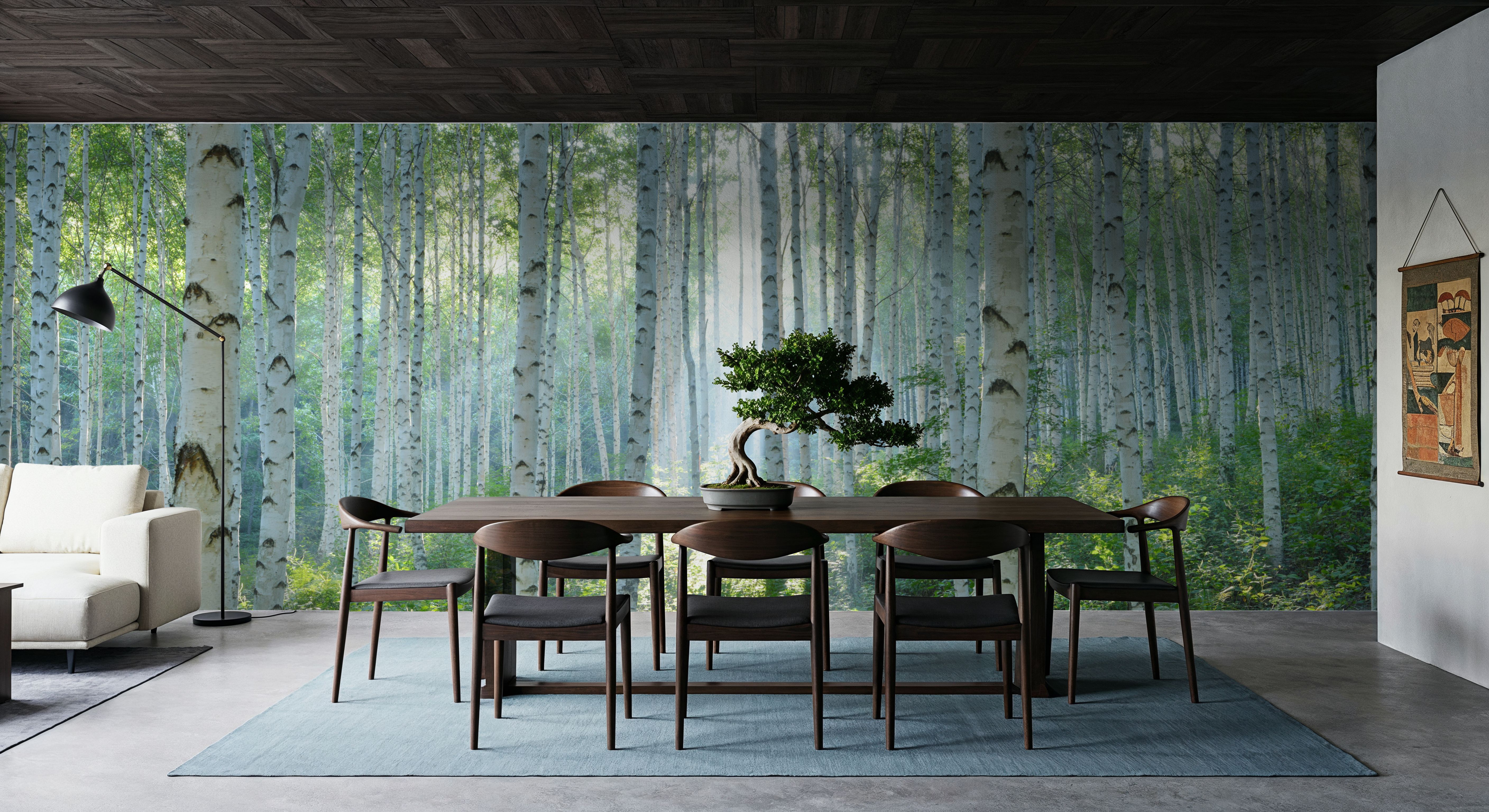 Peaceful Birch Woods, Wallpaper