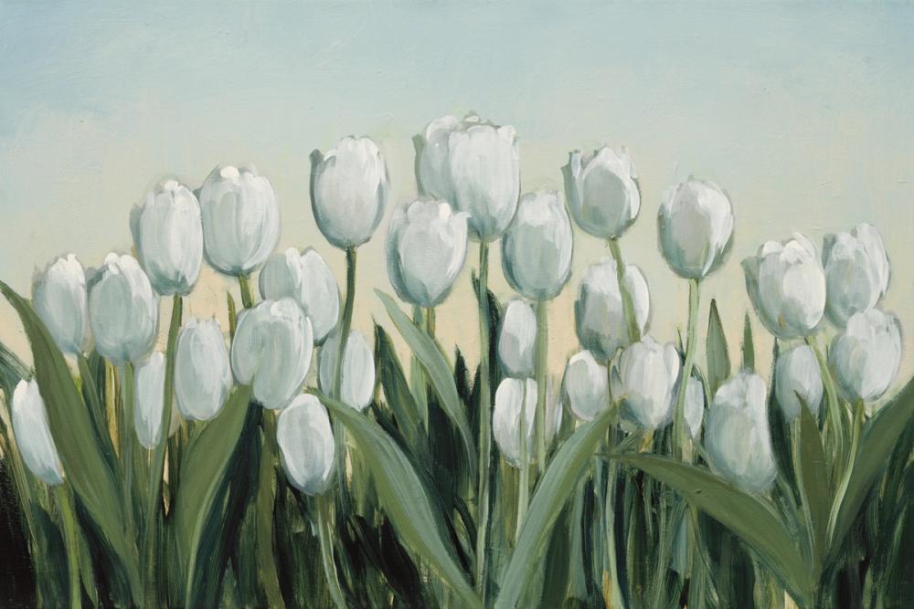 Springtime Tulips