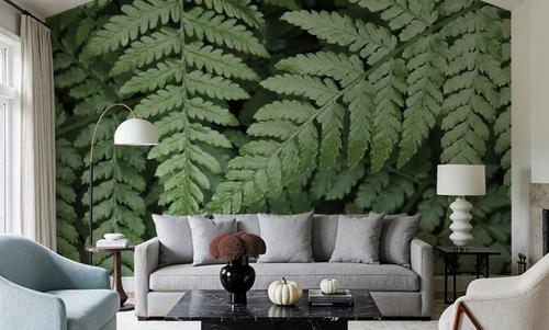 Pointy Ferns