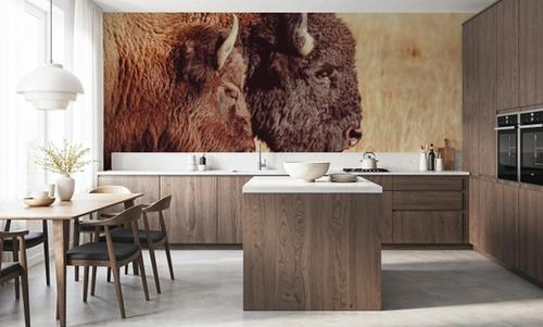 Bison Pair