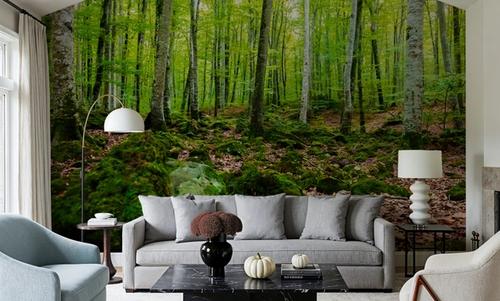 Intense Birch Wood