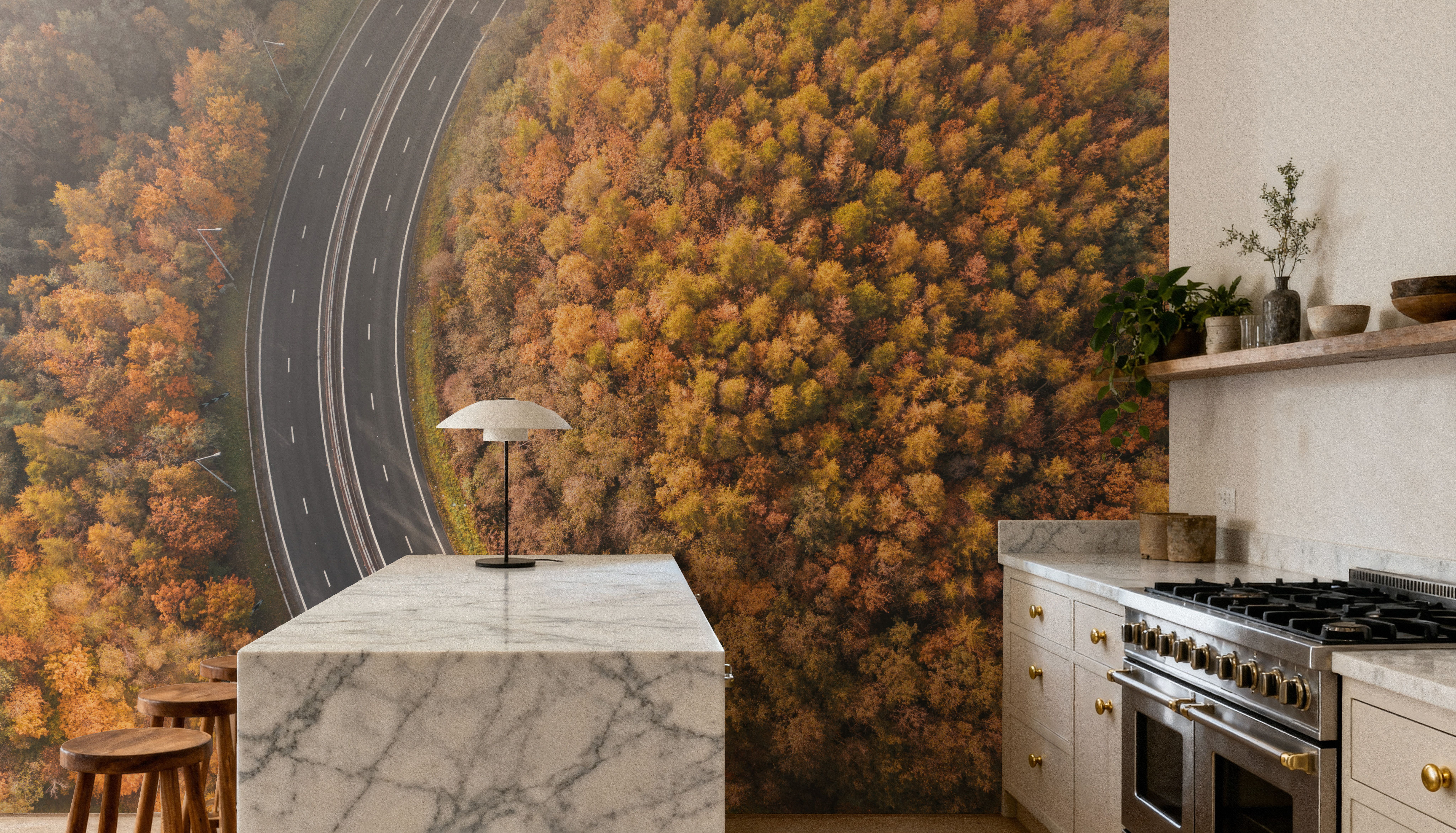 Autumn Canopy Road