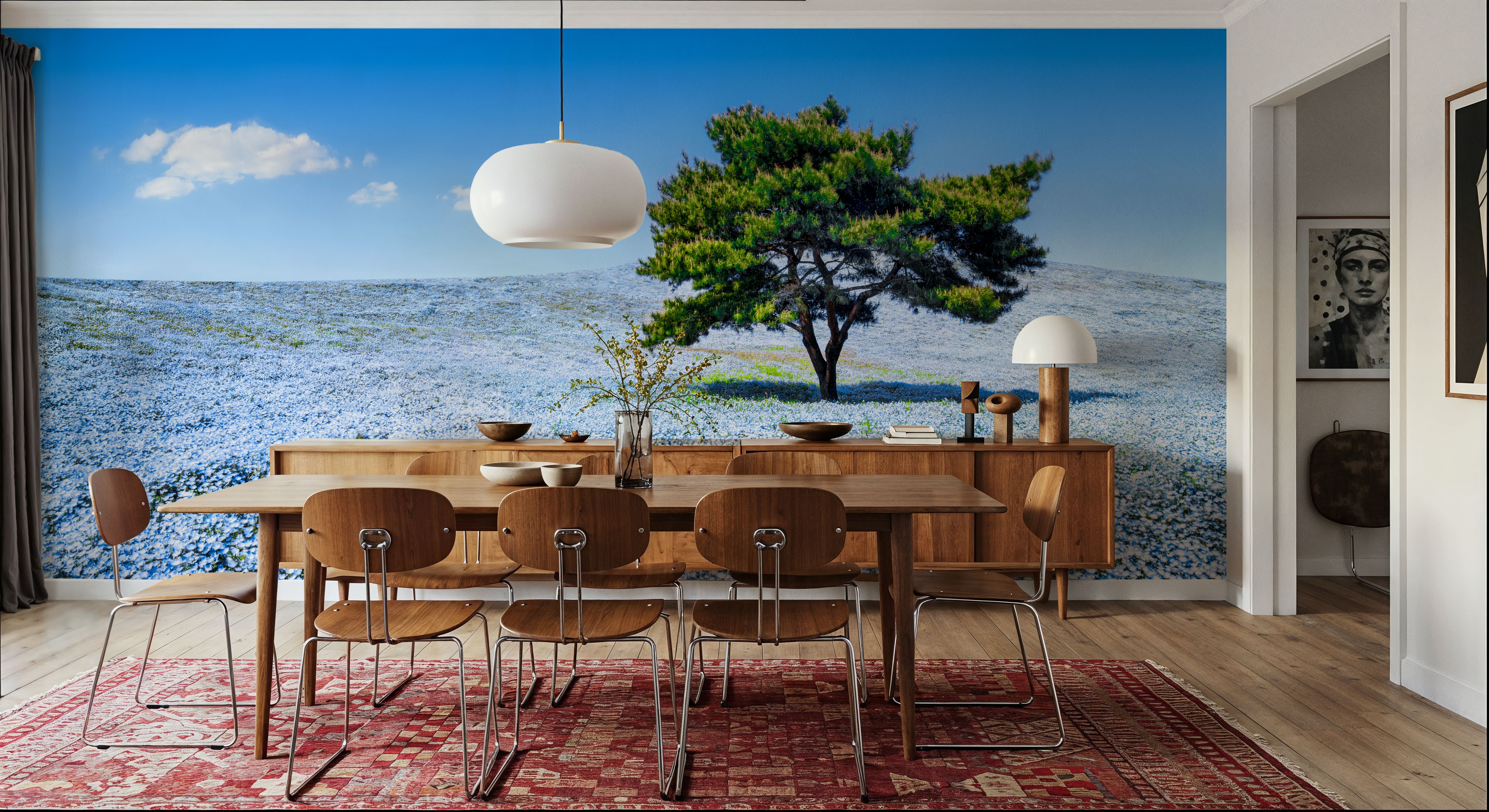 Baby Blue Eyes Nemophila