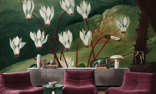 The Persian Cyclamen