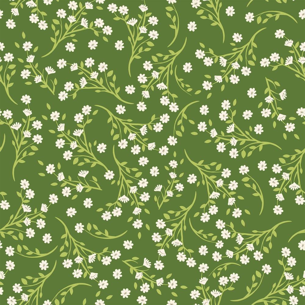 Mouse Ear Chickweed, Chlorophyll Green