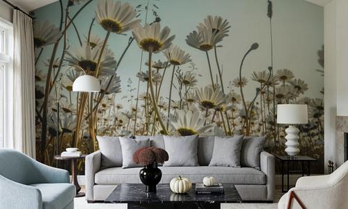 Summer Meadow Daisies