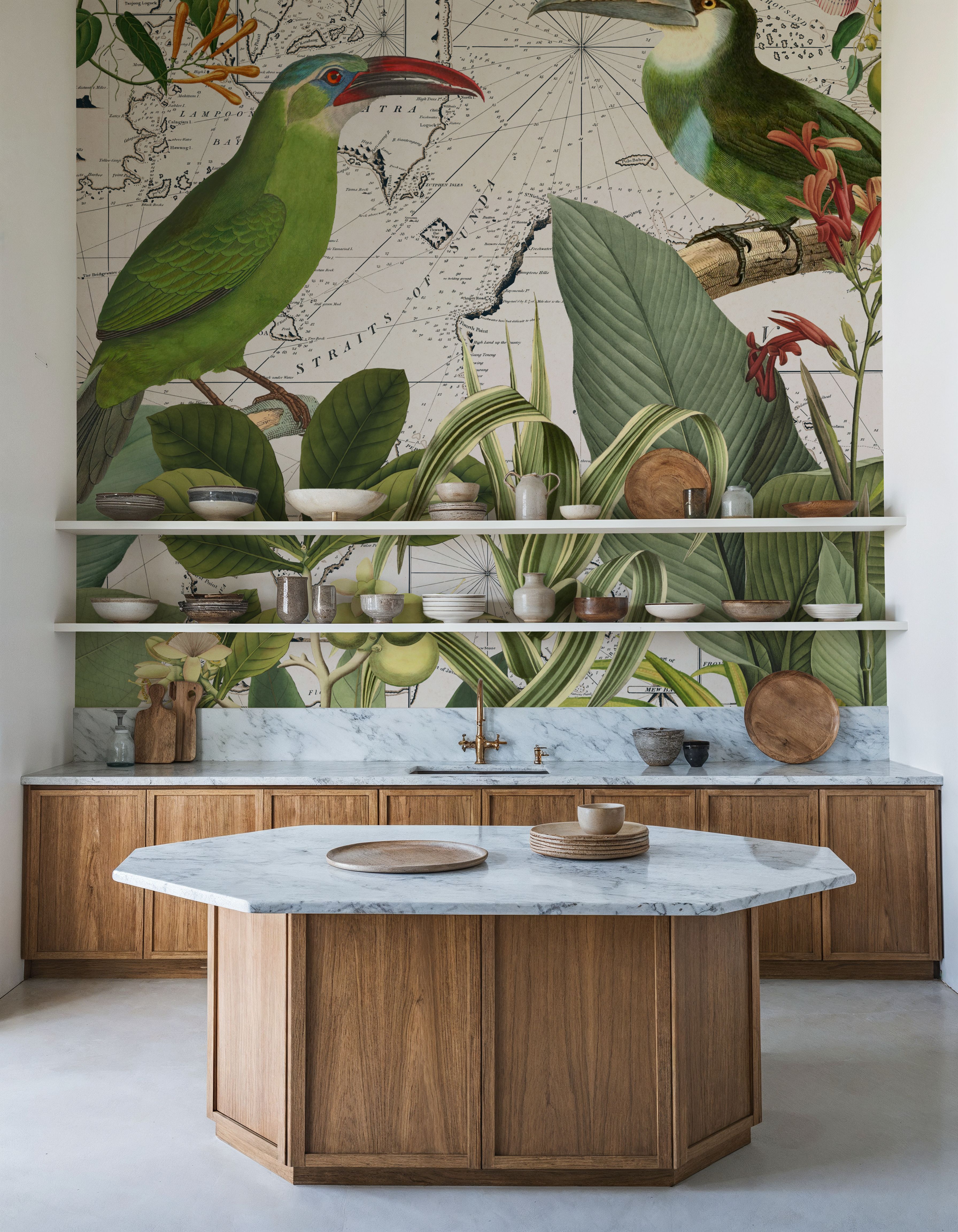 Parrots Nostalgic Journey III