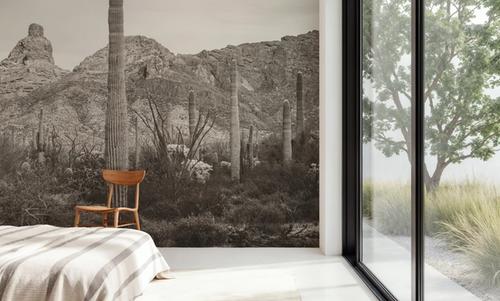 Desert Mornings