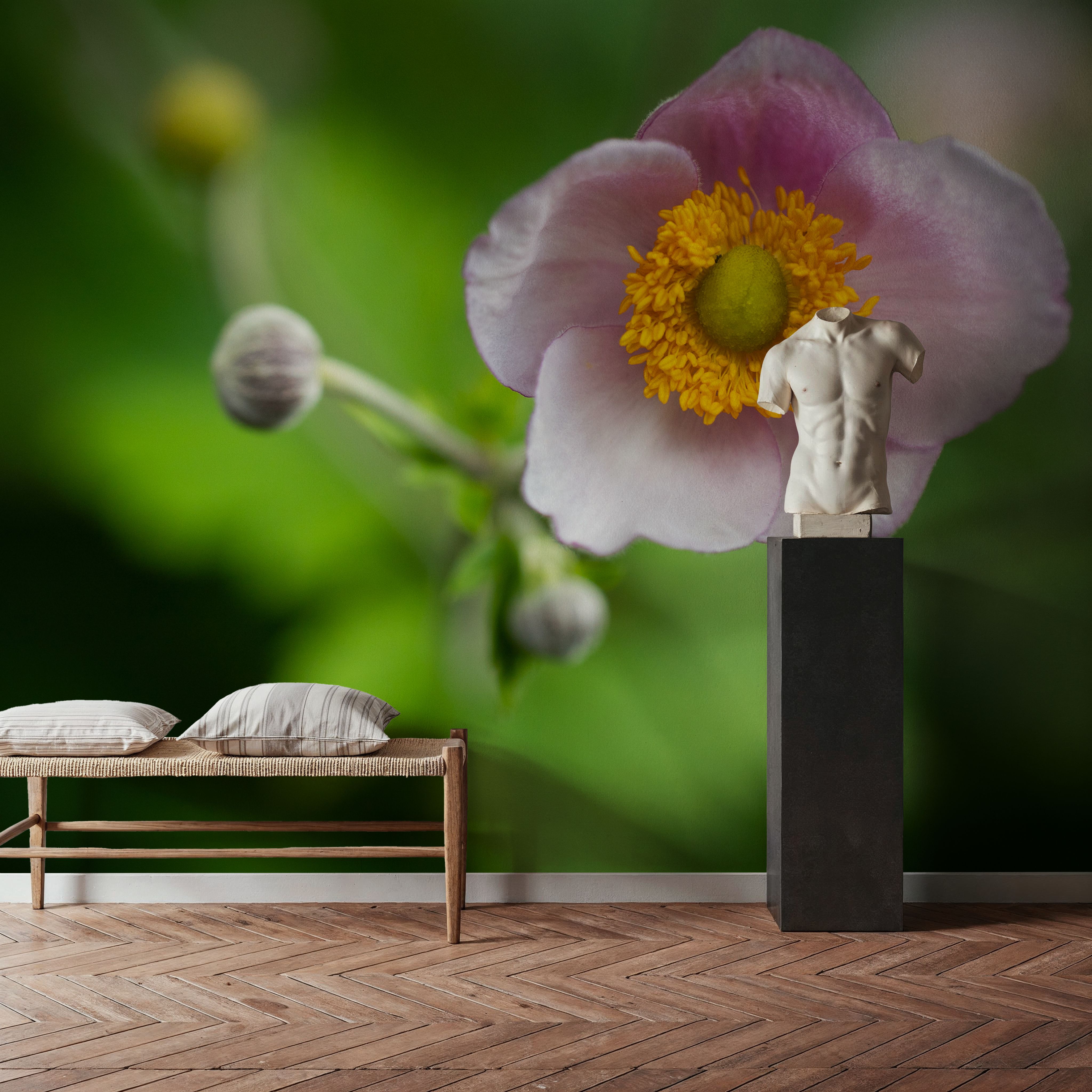 Autumn Anemone