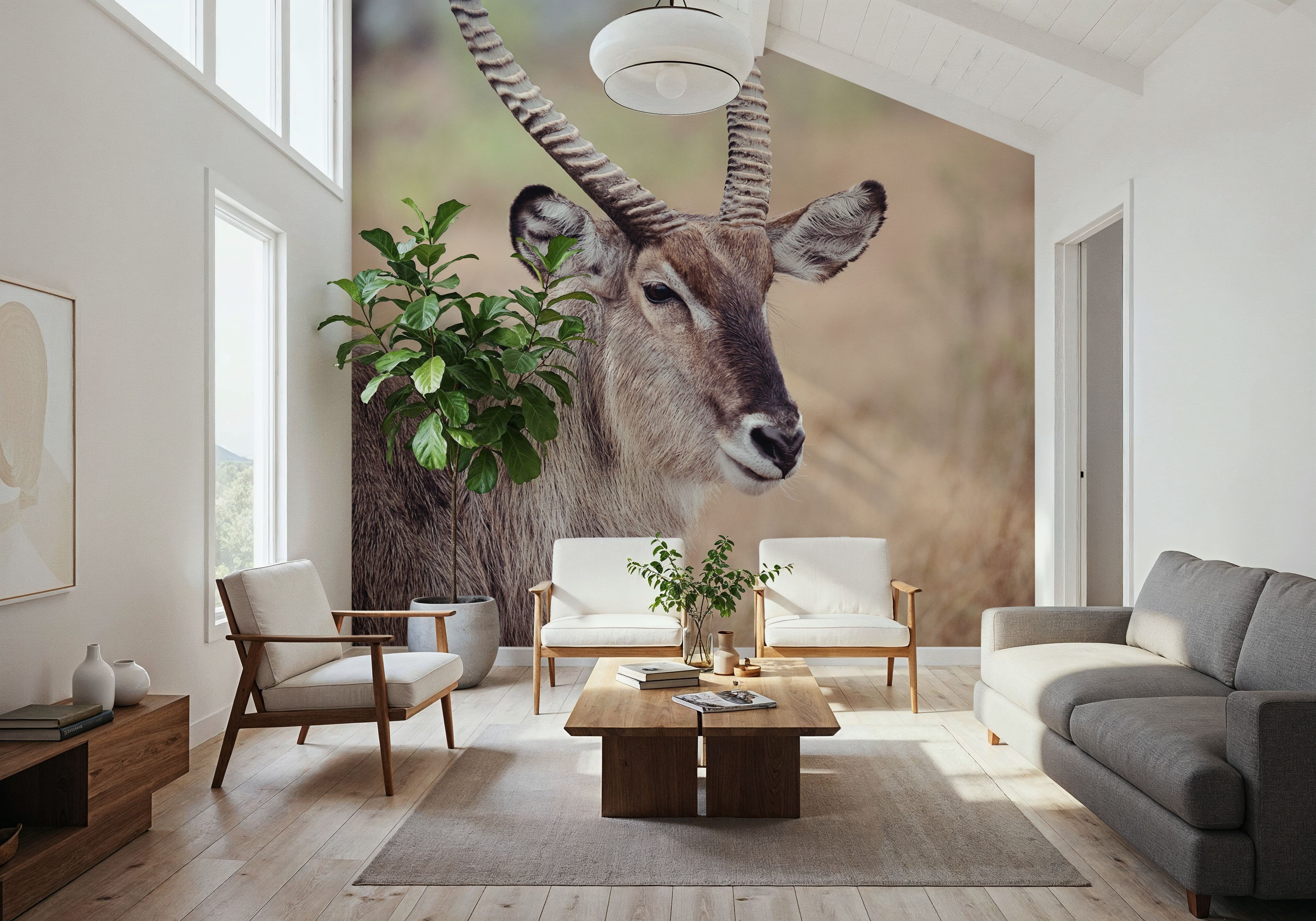 Waterbuck Portrait, Tapeten